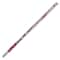 Moon Products 100th Day of School Pencil, PK144 7448 - alternate 1